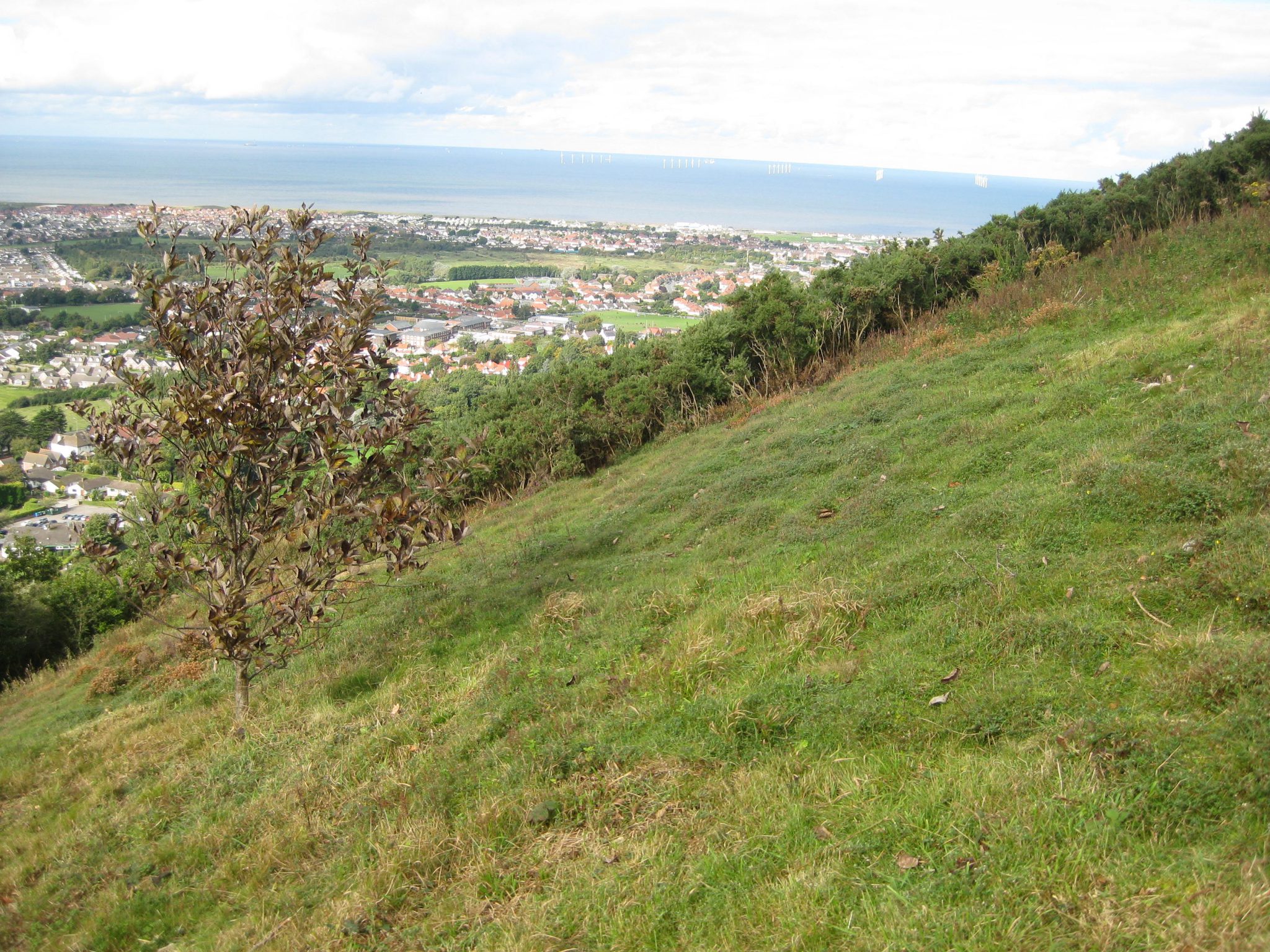 View from Graig Fawr across to the Prestatyn Dunes (Polly Spencer-Vellacott)