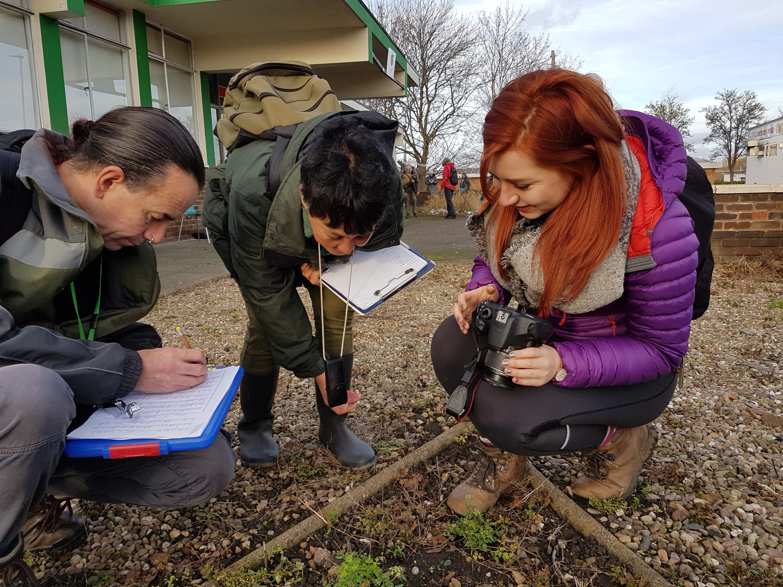 Plant Hunters in Leicester, NYPH 2019 Image: L. Marsh