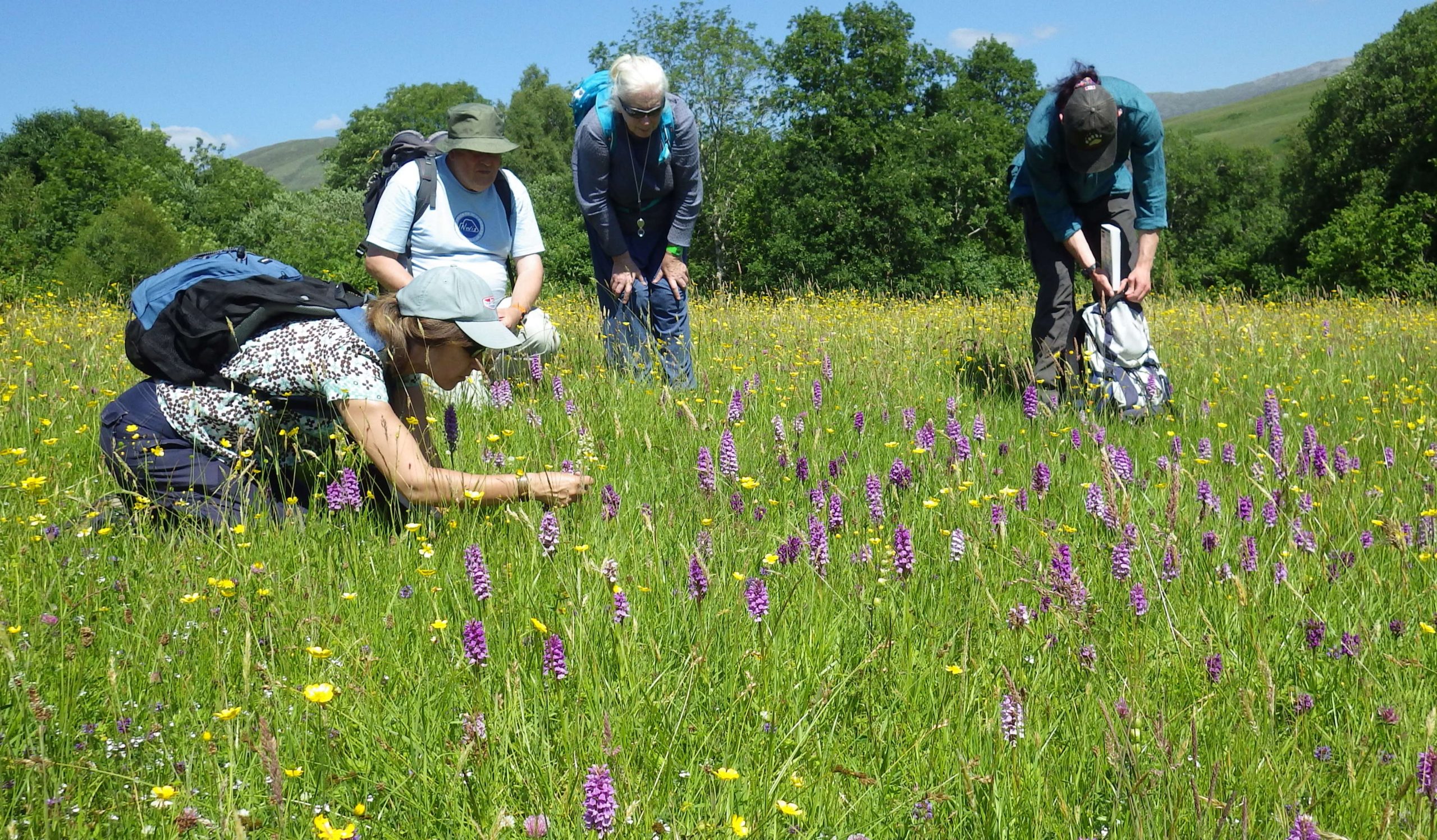 Admiring hay meadow orchids in Glen Roy, Westerness by Ian Strachan