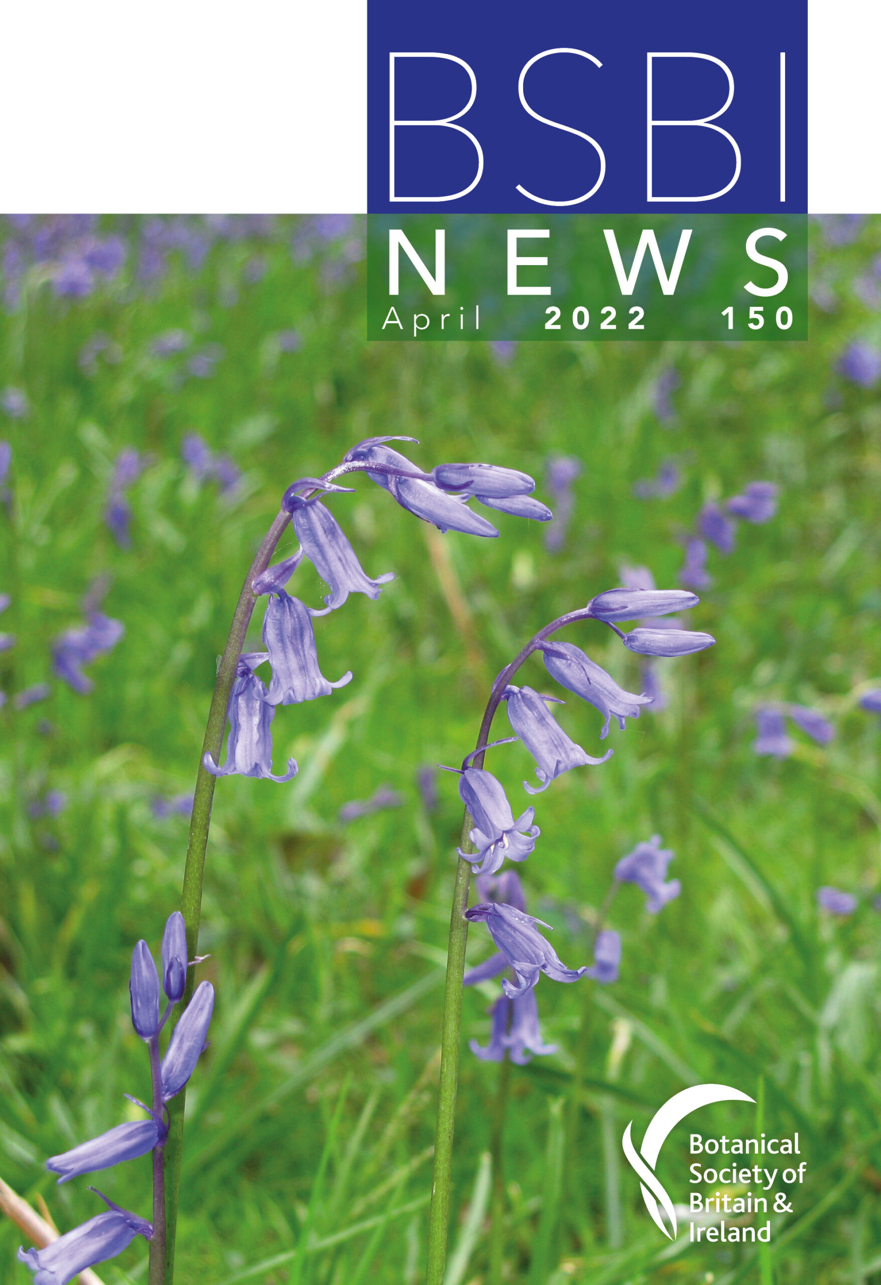 BSBI News 150 cover (large)