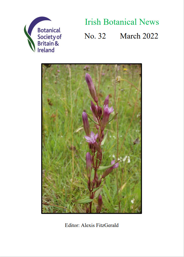 IBN 2022 – front cover jpeg