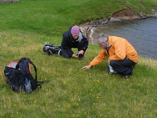 Chris Metherell (BSBI President 2017-19) points out an Eyebright on Shetland