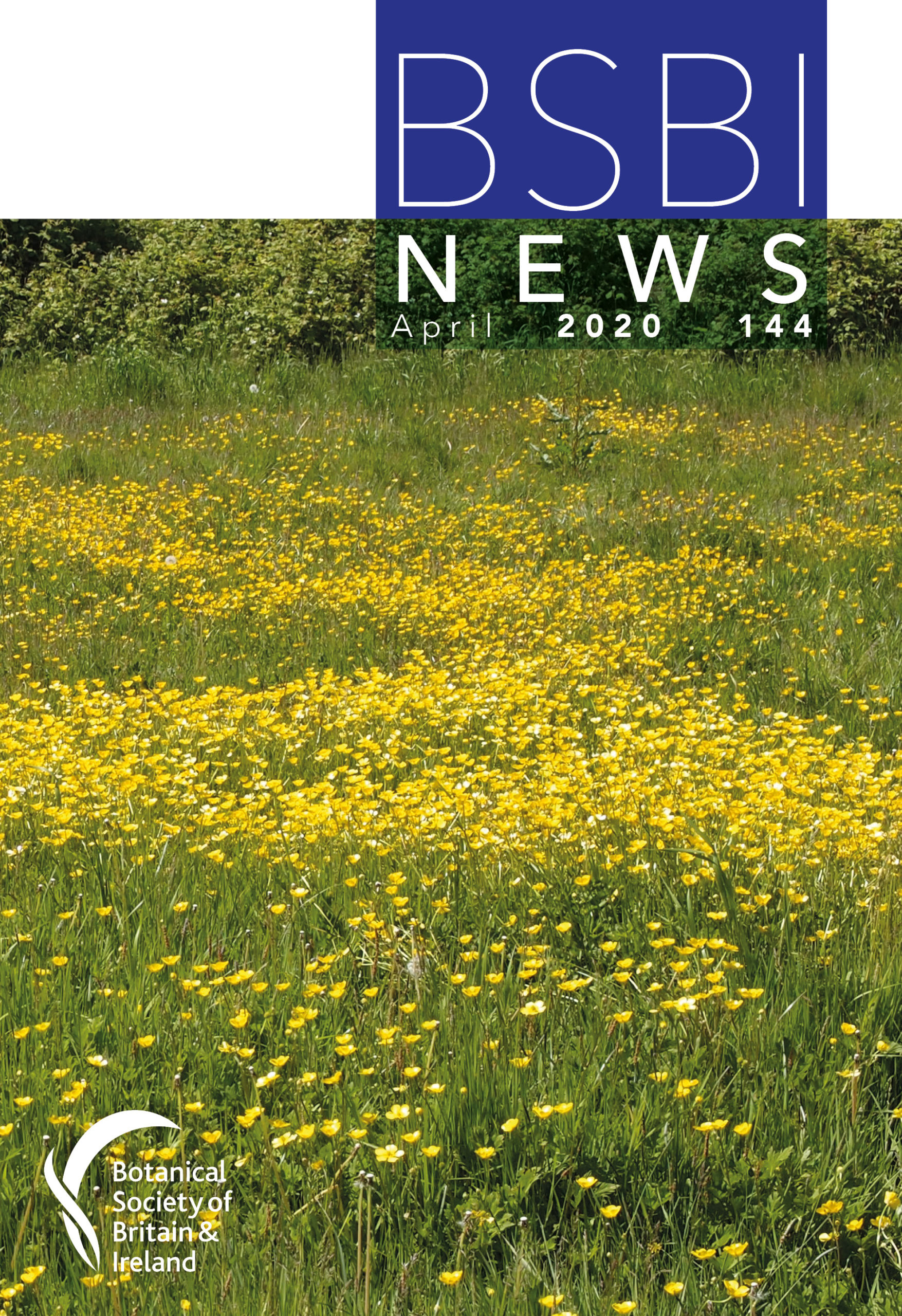 BSBI News 144 front cover (hi res)