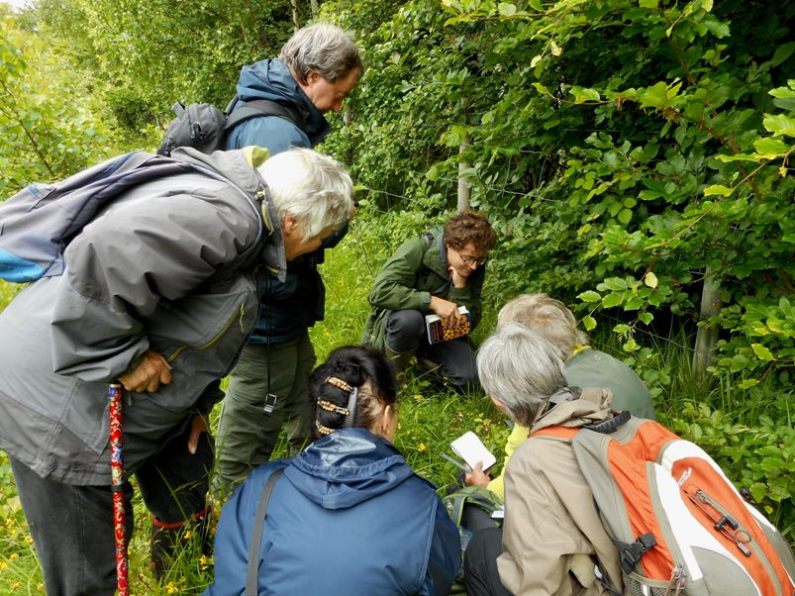 KBRG at Down Bank