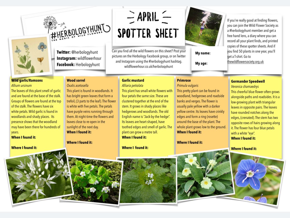 Hedgerows перевод. Flowers Hunt Sheet. Plants and Flowers Hunt Sheet. Вайт лист. Spotter Sheets.