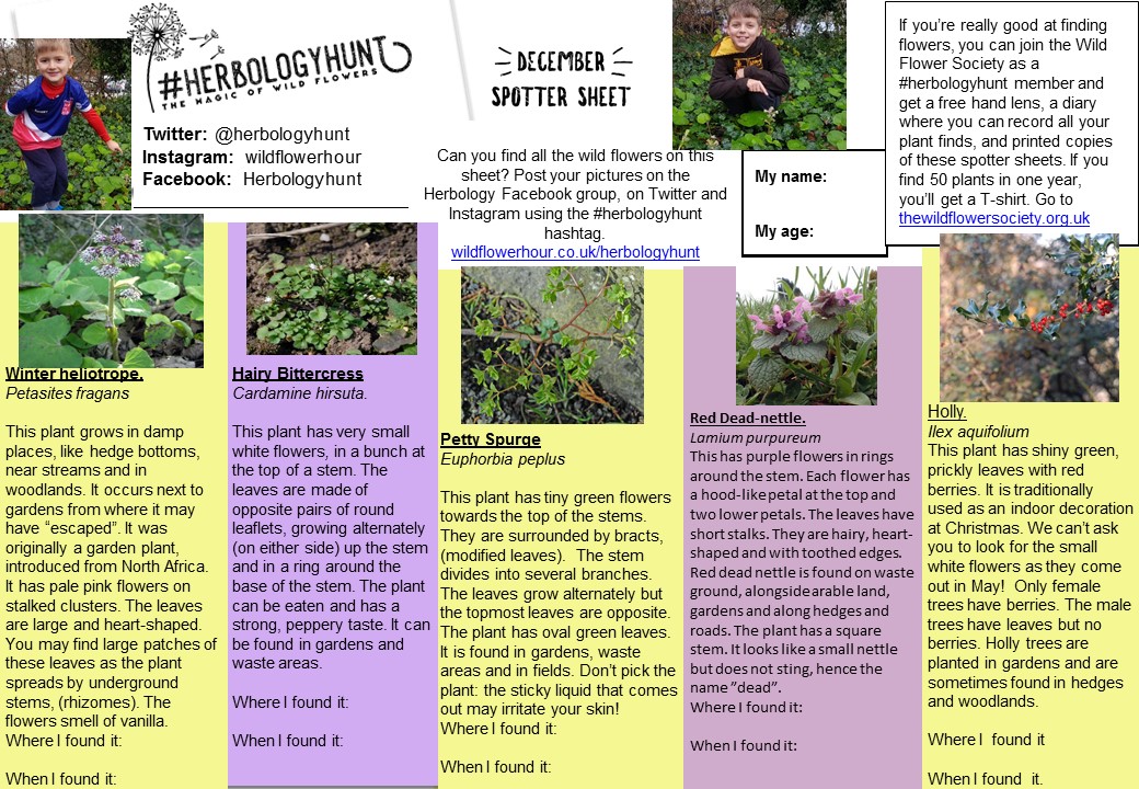 Herbology Hunt – Botanical Society of Britain & Ireland