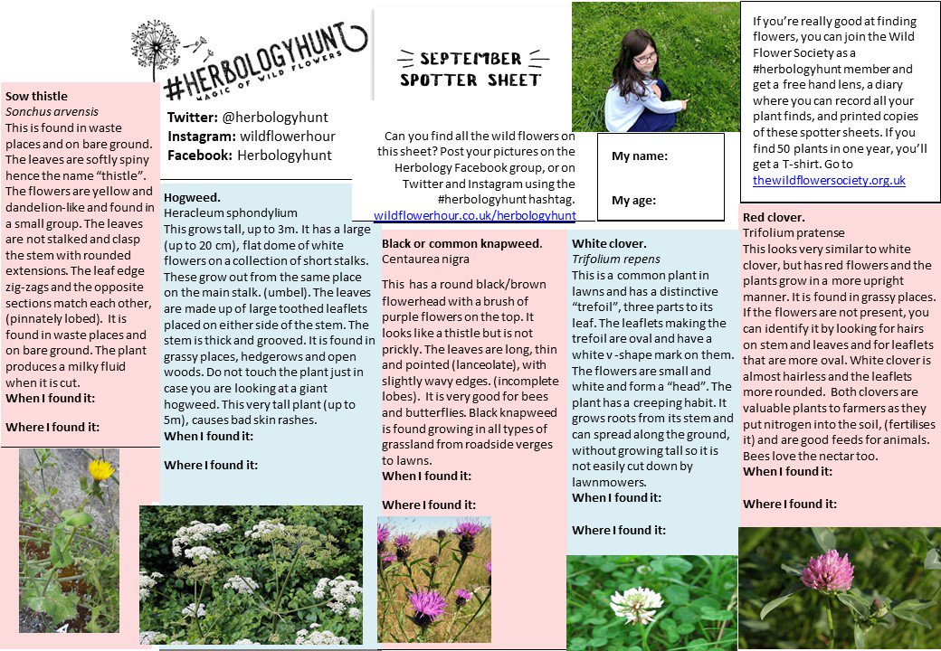 Herbology Hunt – Botanical Society of Britain & Ireland