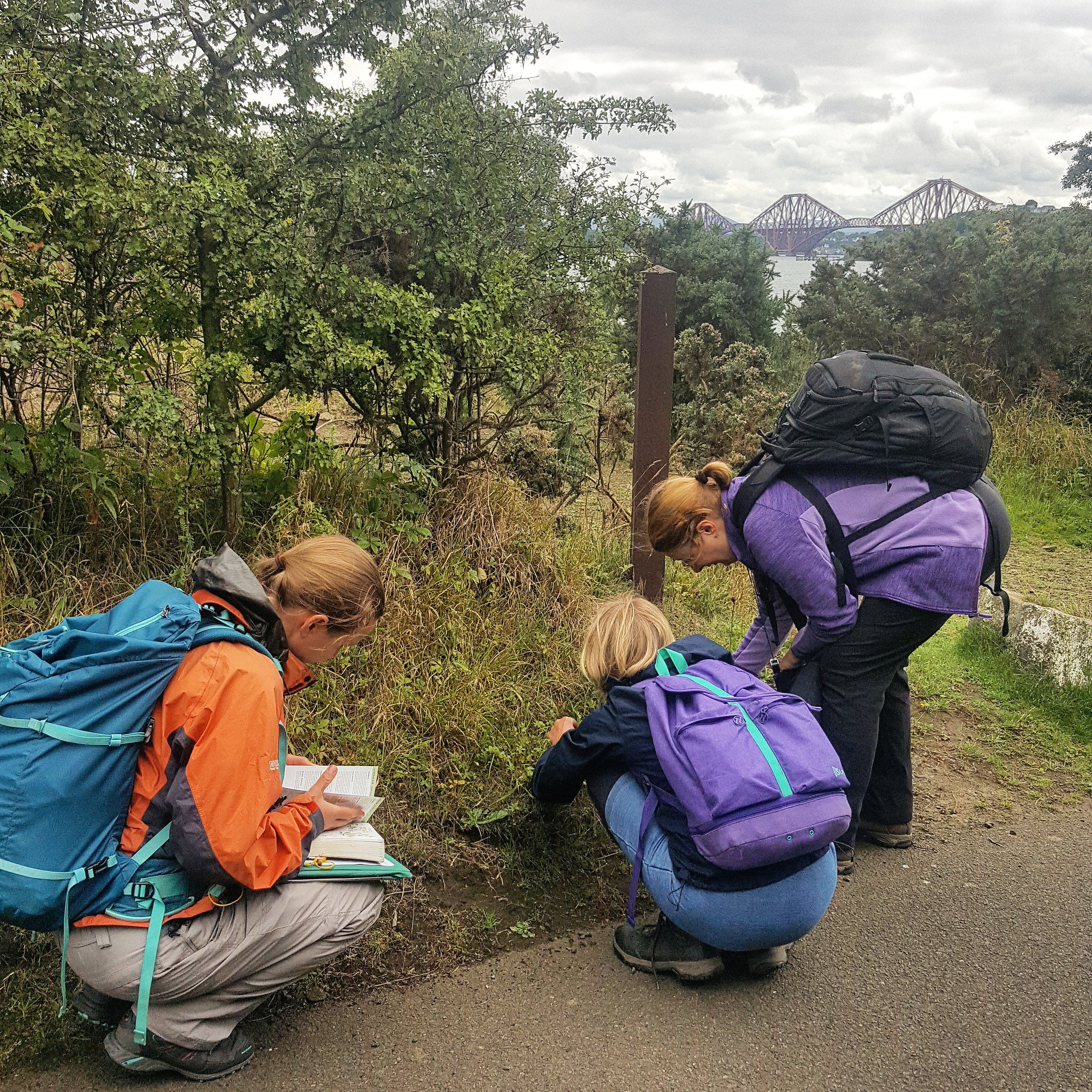The Foliage Fraternity in the field. Image: Hannah Humphreys