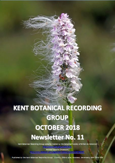 KBRG newsletter no. 11 front cover