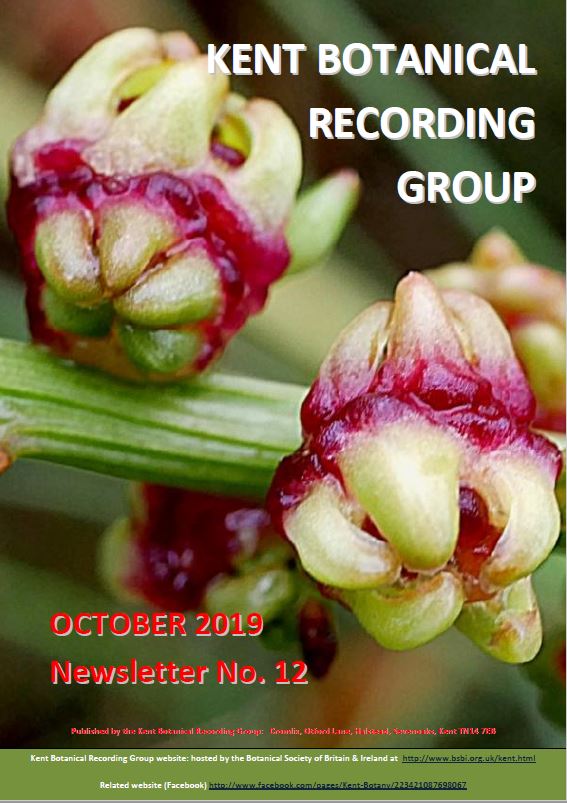 KBRG newsletter no. 12 front