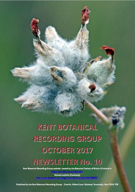 KBRG newsletter no.10 front cover1