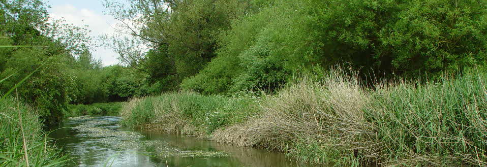 River Avon at Milston