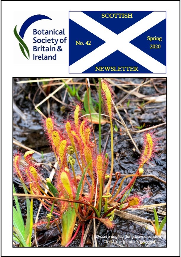 SN2020 Front Cover