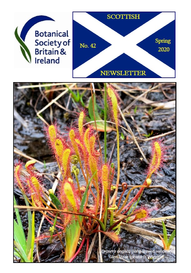 Scottish Newsletter