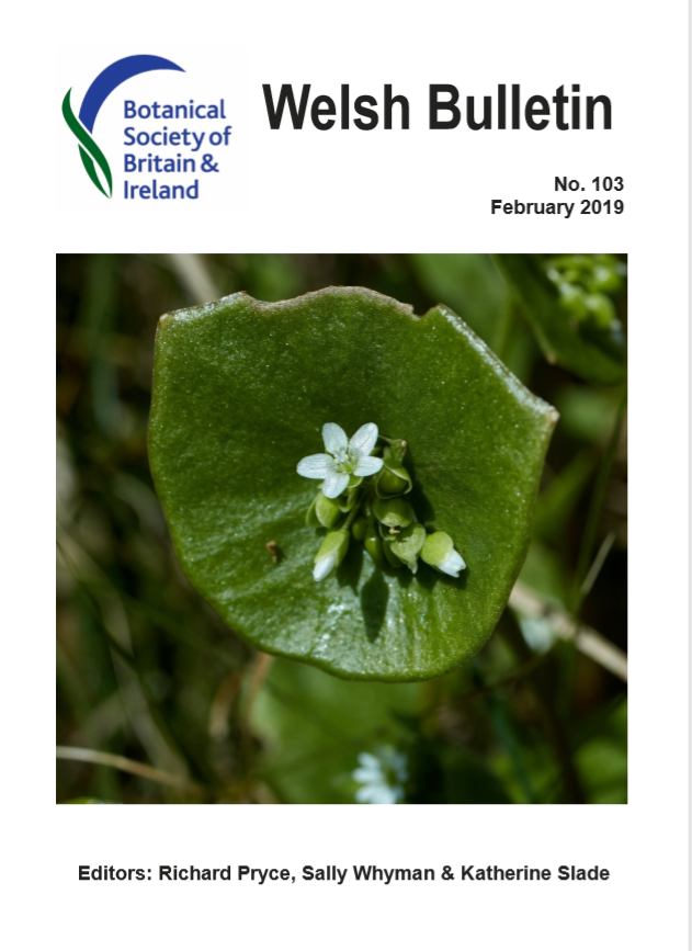 Wales Bulletin Front cover for Feb 2019