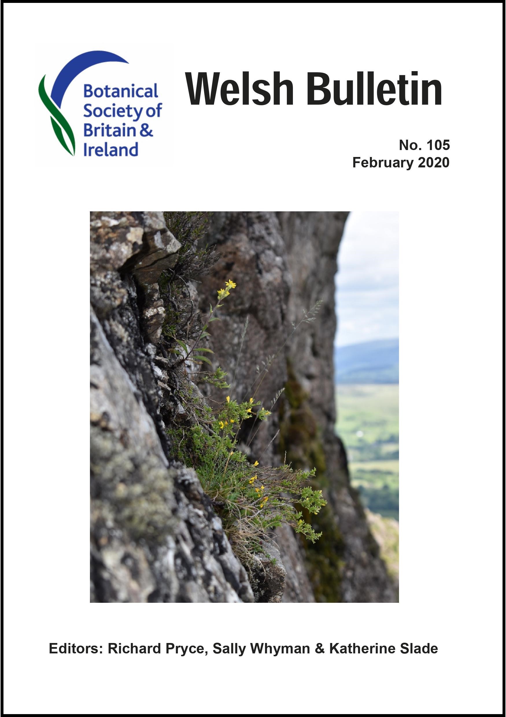 Welsh Bulletin No 105 Welsh Bulletin No 105