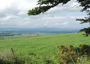 angus_lowlands