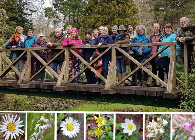 Plant Hunters at Glengarriff NR in Co. Cork. Image: C. Heardman
